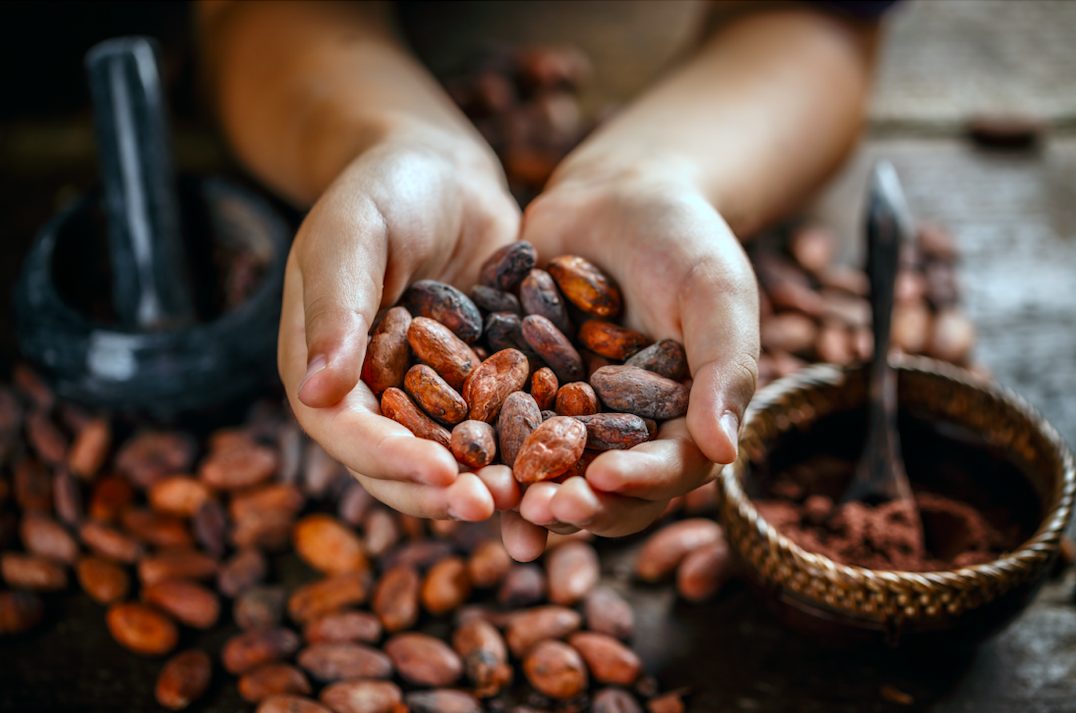 scopri il mondo del cacao: dalle origini antiche alle deliziose preparazioni moderne. approfondisci le proprietà, i benefici e le ricette gourmet che lo rendono un ingrediente unico e amato in tutto il mondo.